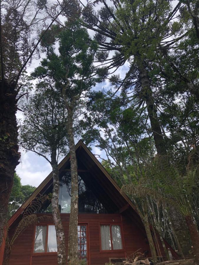 A Cabana Sao Chico São Francisco de Paula المظهر الخارجي الصورة