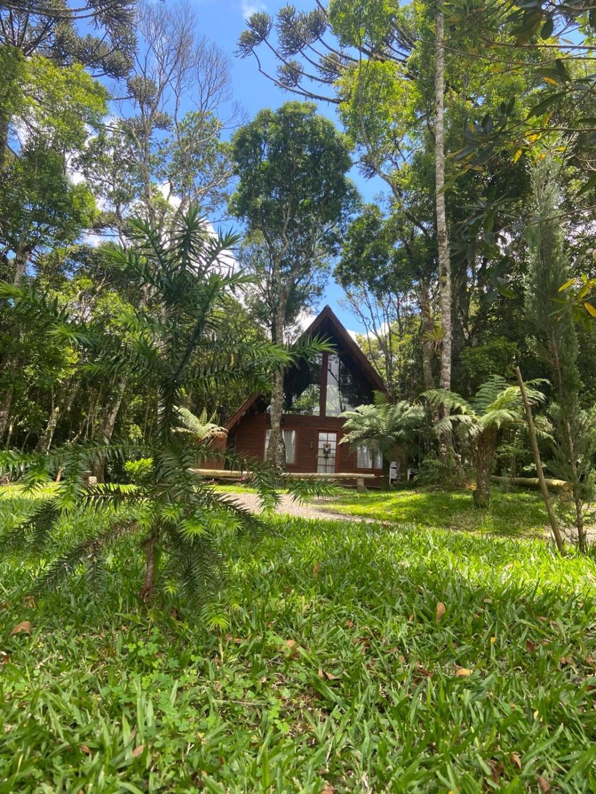 A Cabana Sao Chico São Francisco de Paula المظهر الخارجي الصورة